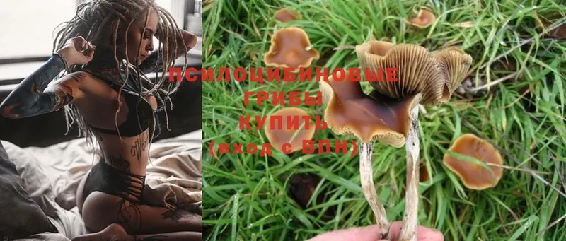 МЕГА ONION  Мыски  Галлюциногенные грибы Magic Shrooms 